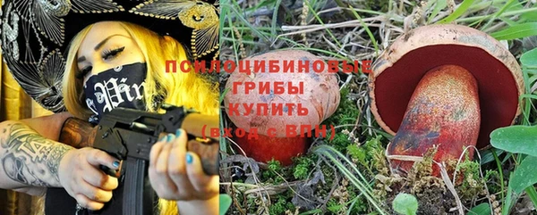 индика Богданович