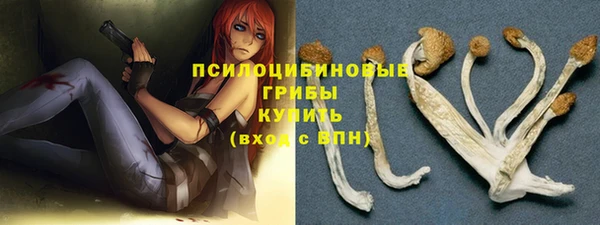 индика Богданович