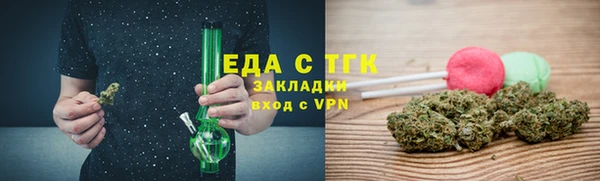 индика Богданович