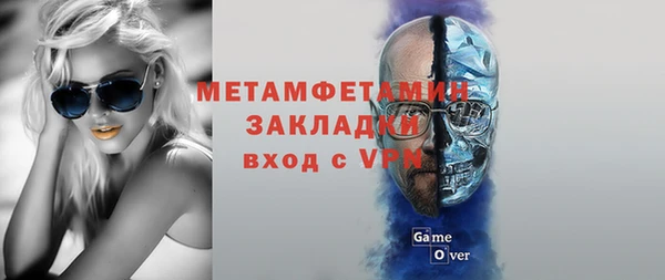 индика Богданович