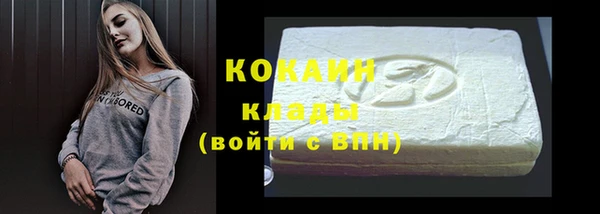 индика Богданович
