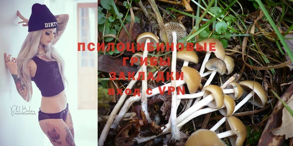 марки lsd Богородск