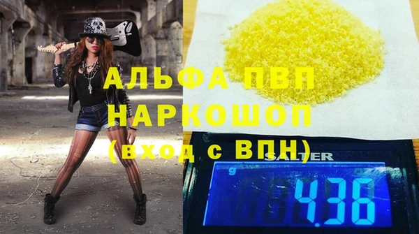 индика Богданович