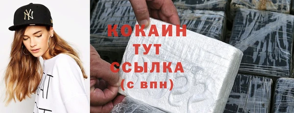 индика Богданович