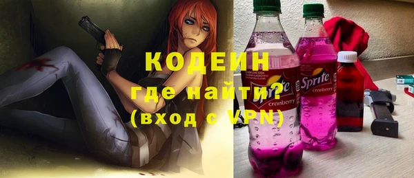 индика Богданович