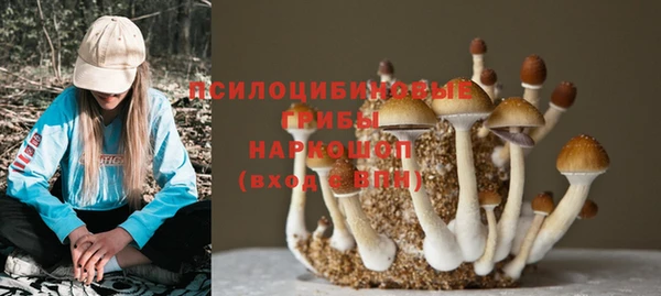 марки lsd Богородск